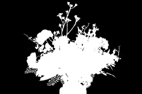 Flower arrangement · mask view black-and-white mask