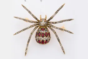Spider · intricate clipping path original photograph